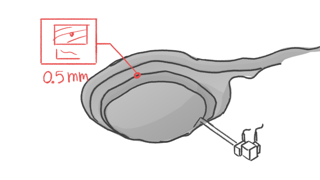 Animation storyboard scene